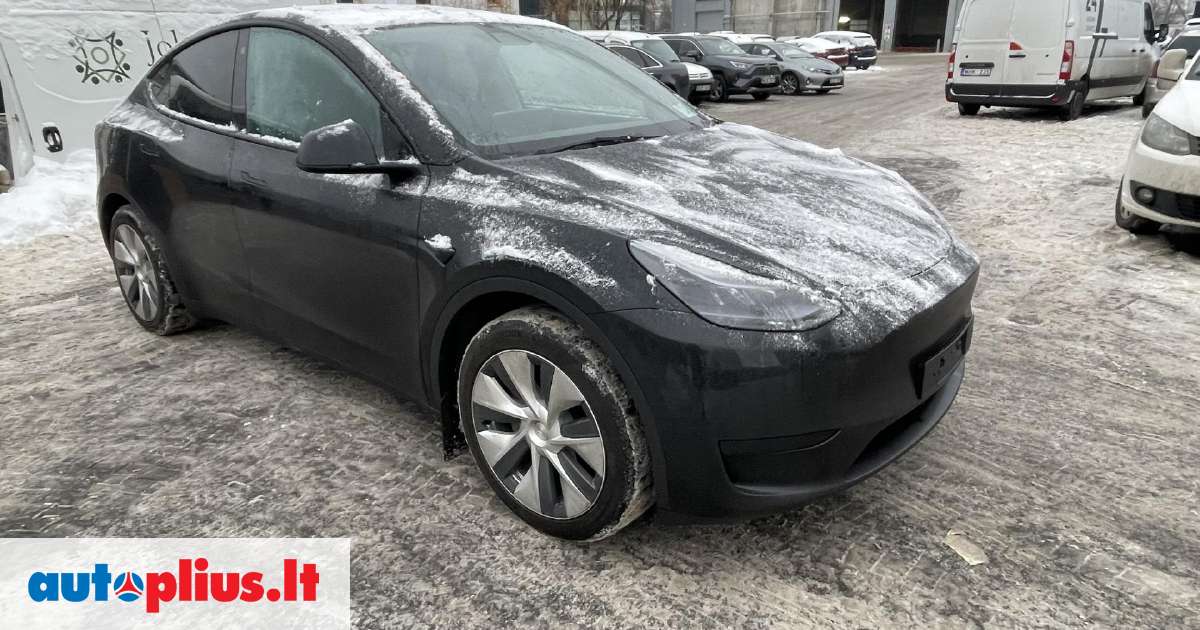 Tesla Model Y Dalimis D L Dali Skambinkite Viber