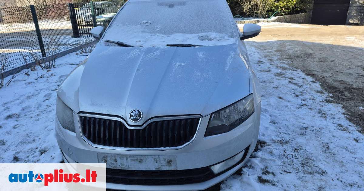 Skoda Octavia по частям Išrašome sąskaitos faktūros rida 225 000