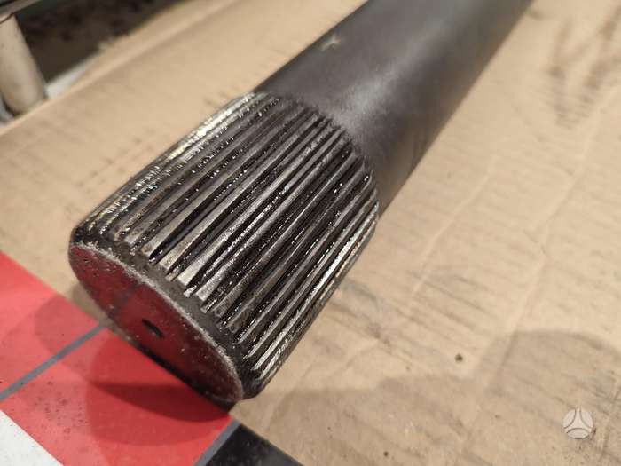 photo