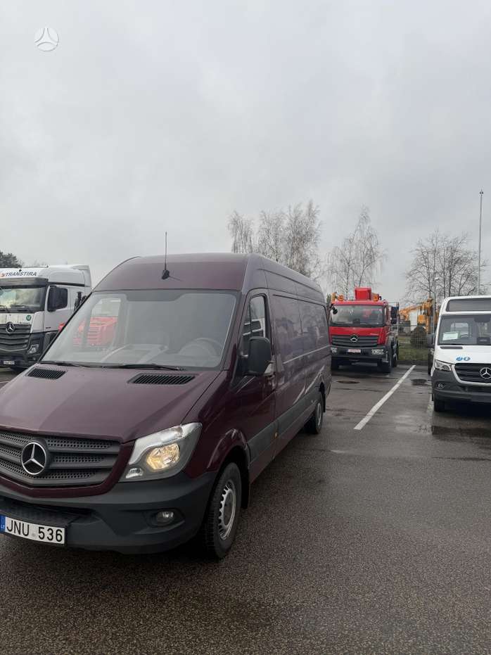 Nuotrauka 1 iš 4