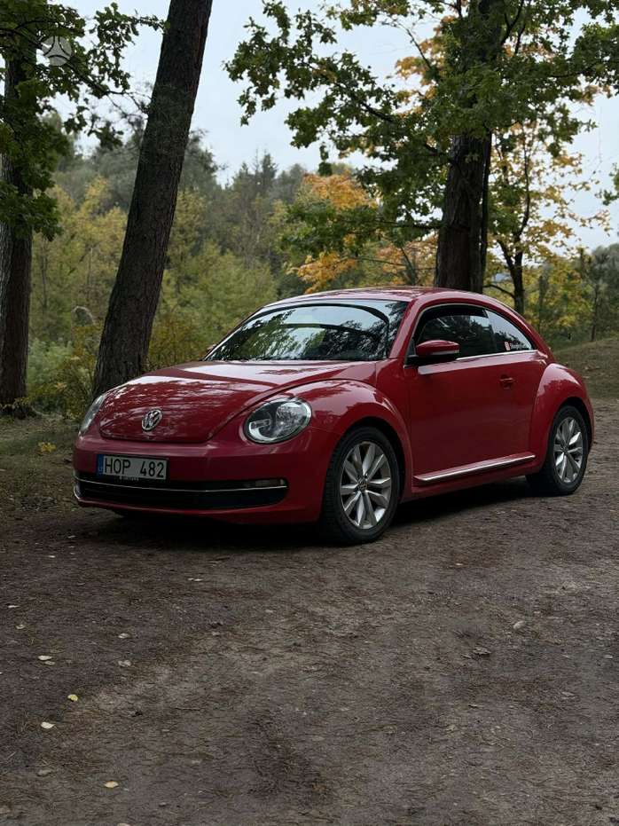 Volkswagen Beetle, hatchback