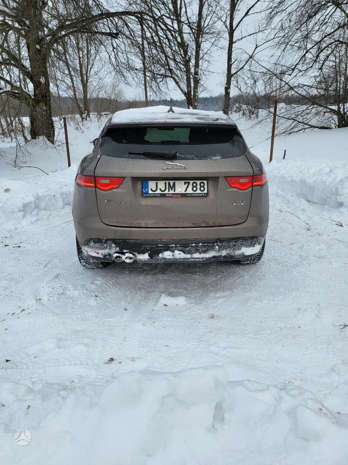 Nuotrauka 2 iš 4