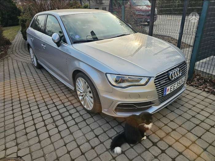 Audi A3, 1.4 l., hatchback