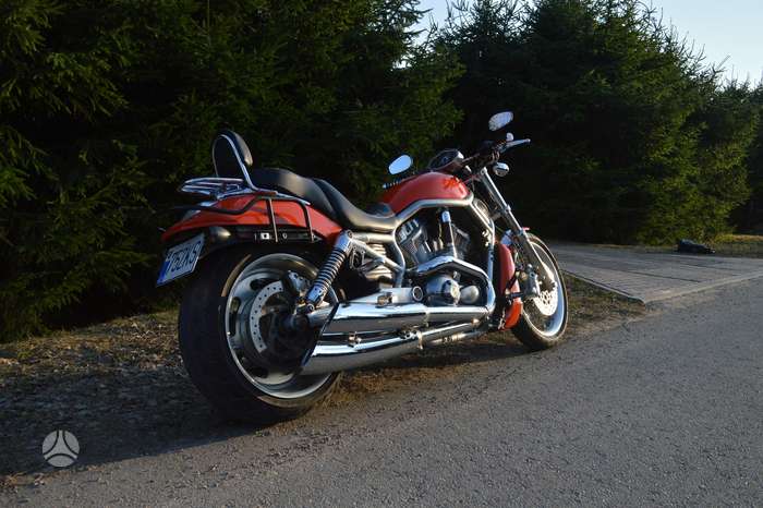 Harley-Davidson VRSC 1247cc, чопперы / круизеры / custom