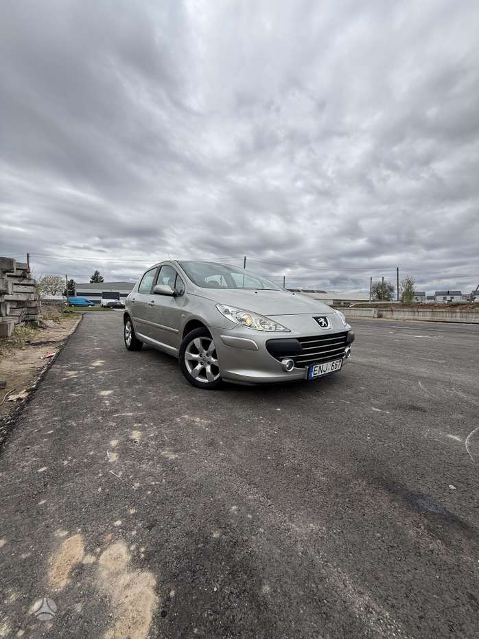 Peugeot 307, 1.6 l., hatchback