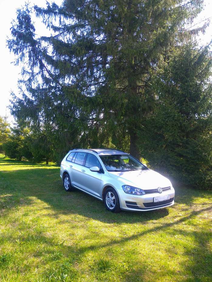 Volkswagen Golf, 1.4 l., Универсал
