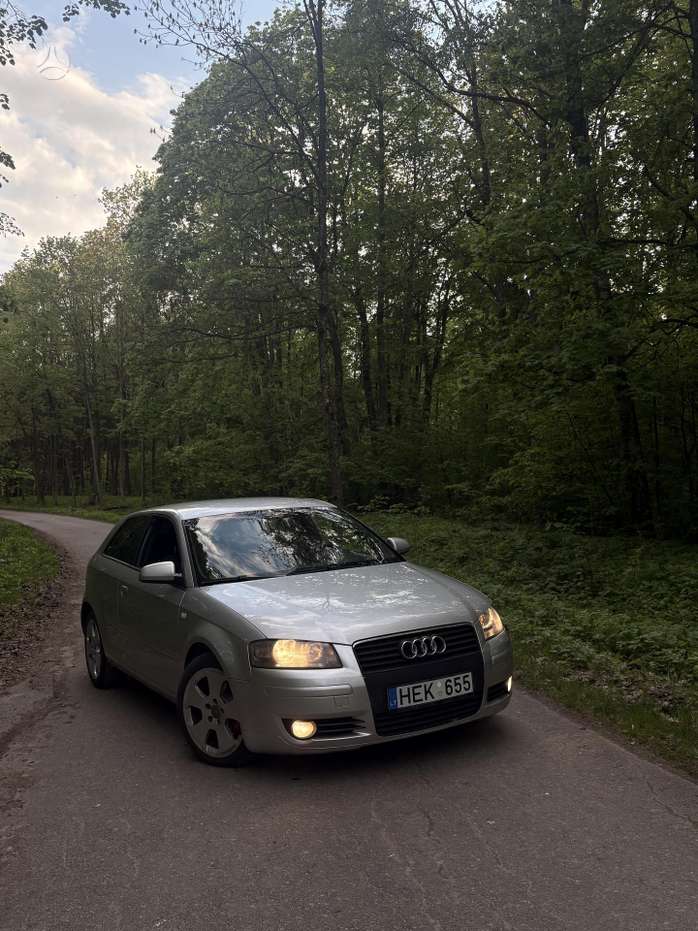 Audi A3, 2.0 l., hečbeks