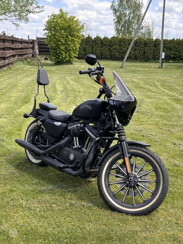 Harley-Davidson 883, choppers / cruisers / custom