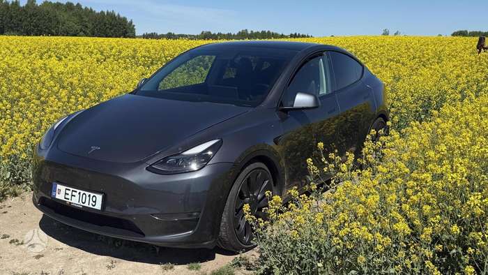 Tesla Model Y, 81 kWh, hatchback