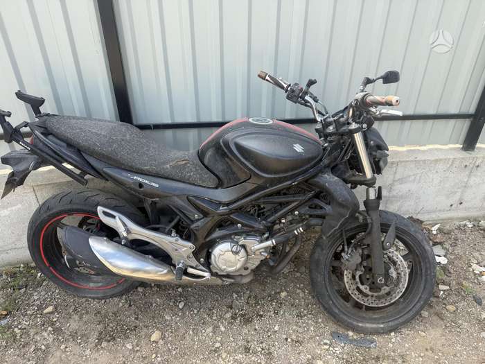 Suzuki SFV (Gladius) 650cc, street / classic