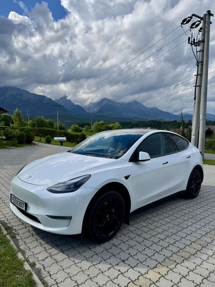 Tesla Model Y, Минивэн