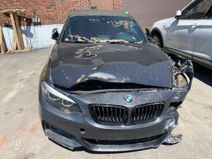 BMW 230, 2.0 l., Кабриолет