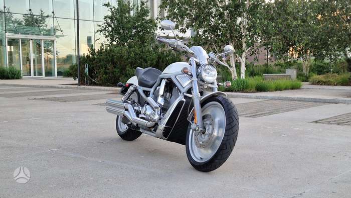 Harley-Davidson VRSCA 1130cc, чопперы / круизеры / custom