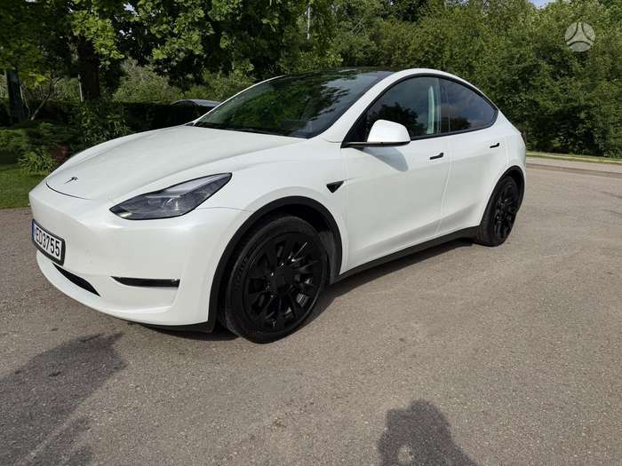 Tesla Model Y, Хэтчбек