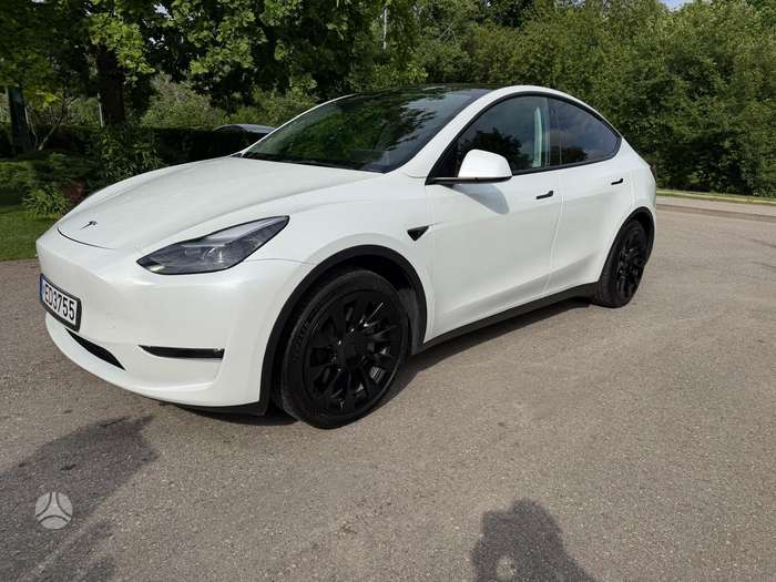 Tesla Model Y, Хэтчбек