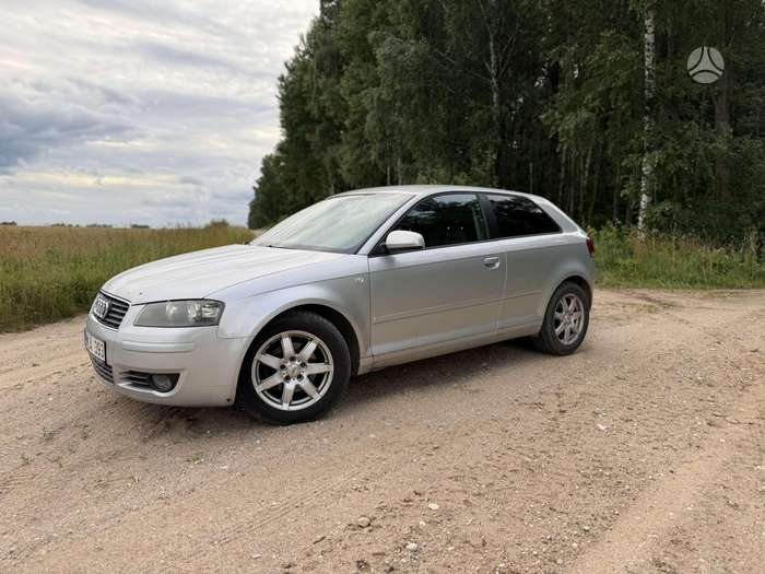 Audi A3, 2.0 l., hečbekas