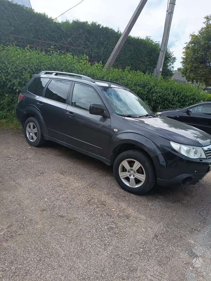 Subaru Forester, Внедорожник / Кроссовер