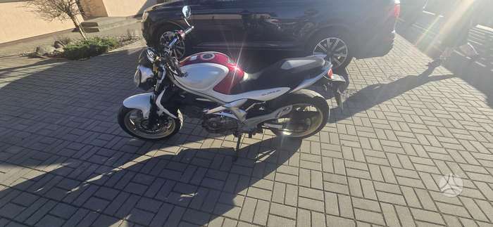 Suzuki SFV (Gladius) 650cc, street / classic