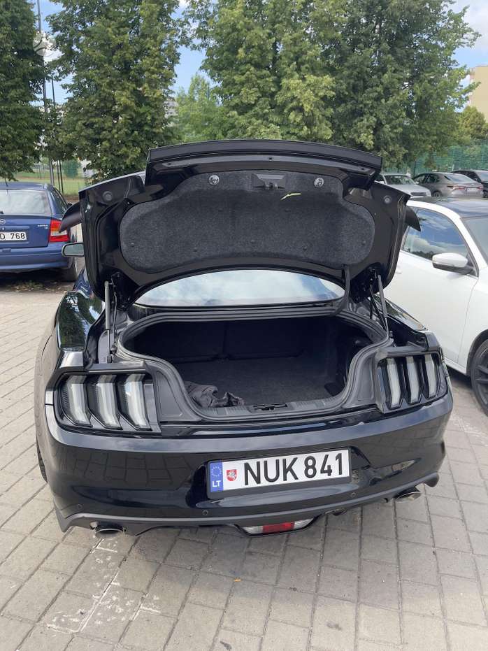 Nuotrauka 4 iš 4