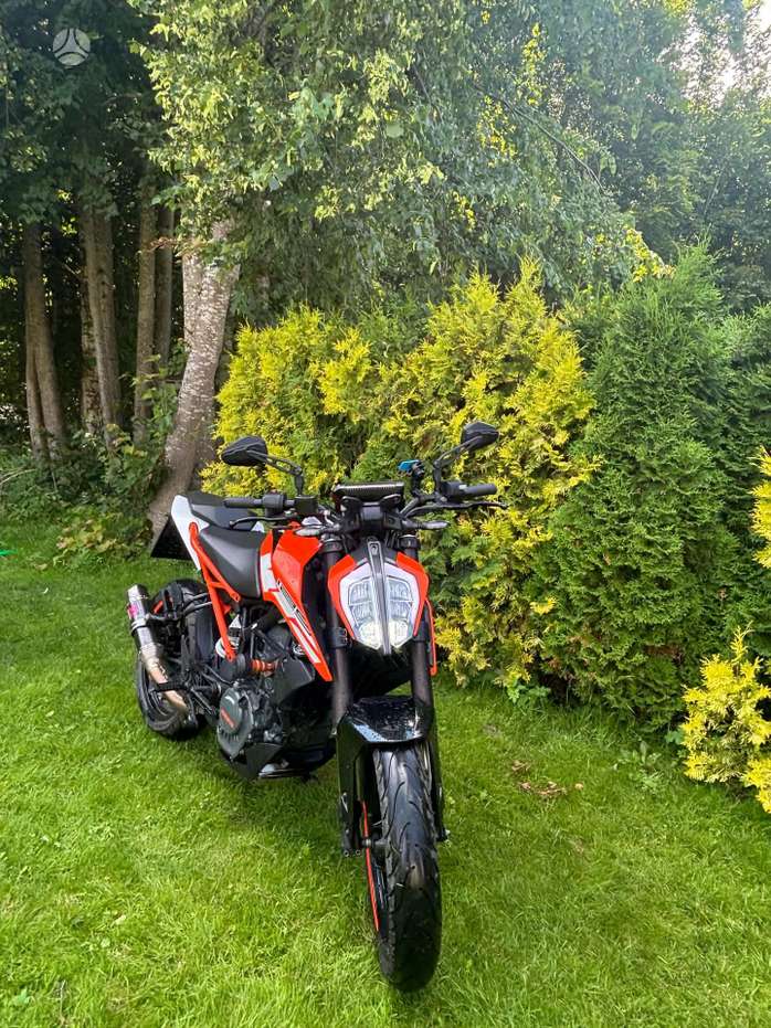 KTM Duke 125cc, street / classic
