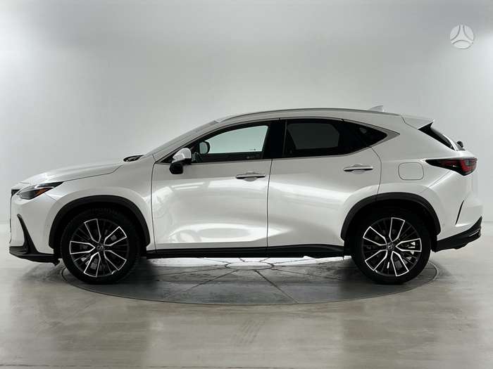 3. foto no 4