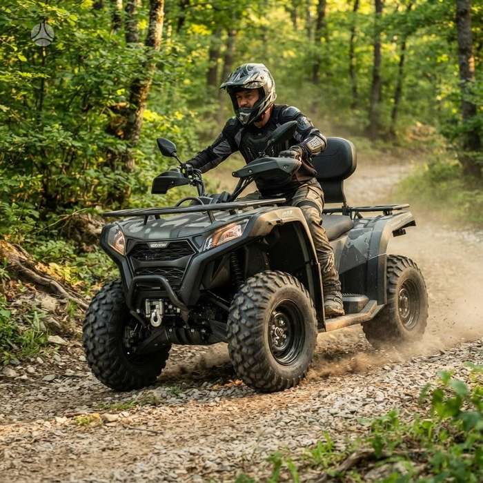 Goes TERROX 400L 400cc, keturračiai