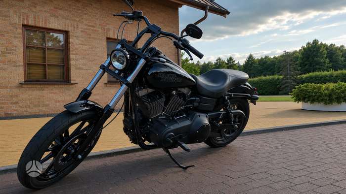 Harley-Davidson Dyna 1600cc, choppers / cruisers / custom