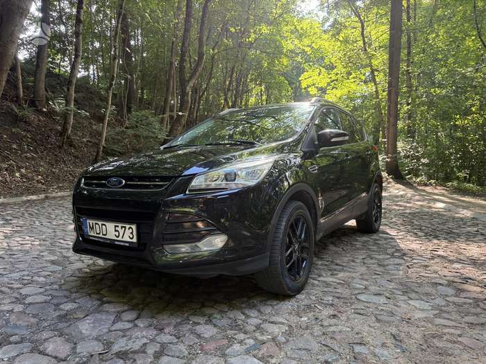 Nuotrauka 4 iš 4