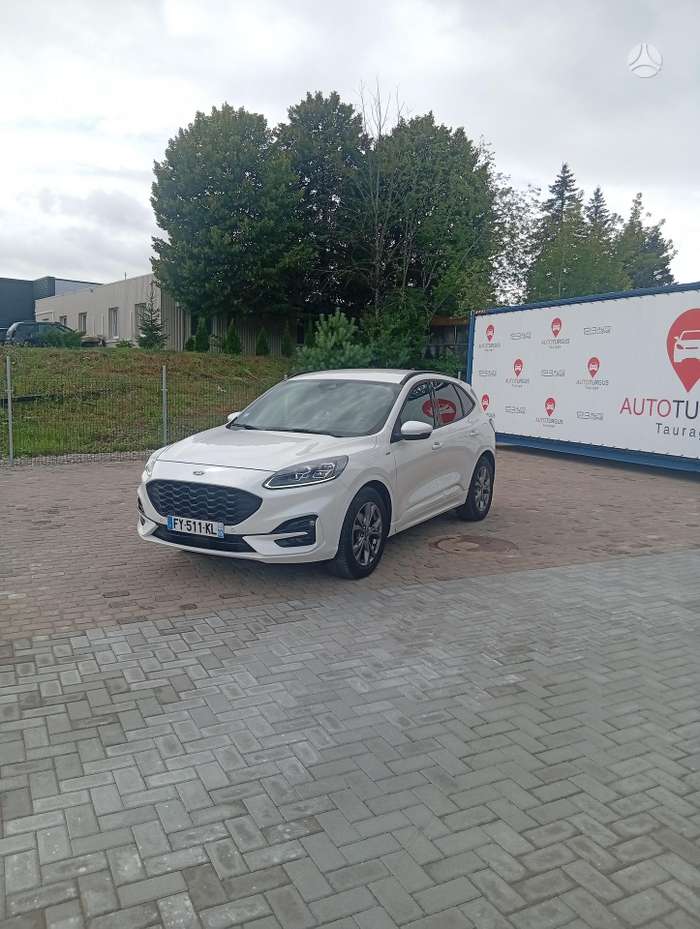 Nuotrauka 1 iš 4