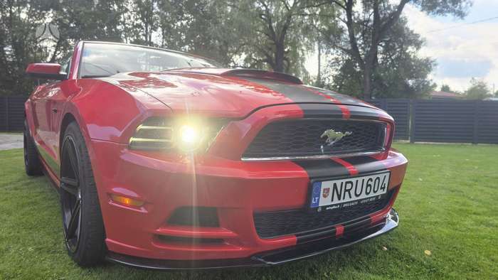 Nuotrauka 4 iš 4