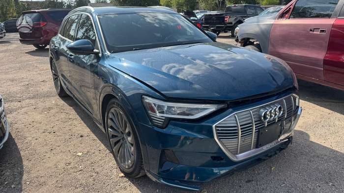 Audi e-tron, 95 kWh, off-road / crossover
