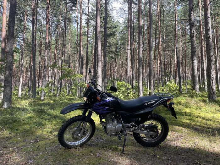 Honda XR 124cc, эндуро / adventure