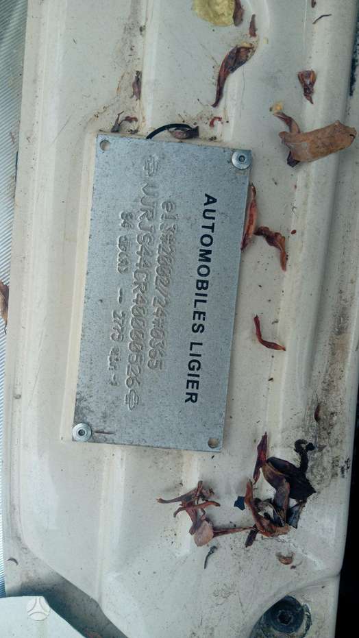 photo