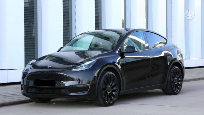 Tesla Model Y, Хэтчбек