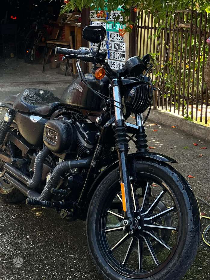 Harley-Davidson XL 883cc, чопперы / круизеры / custom