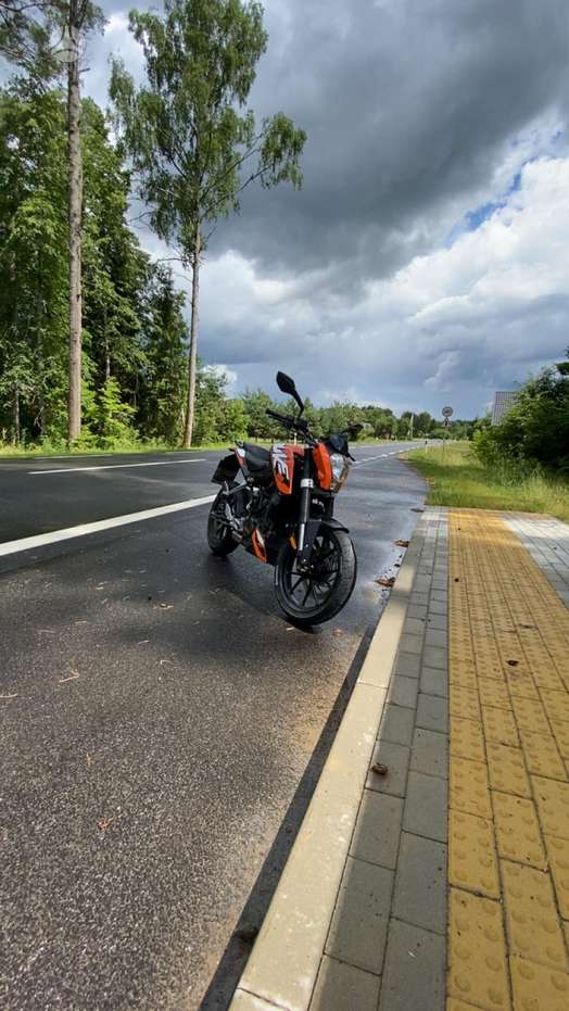 KTM Duke 125cc, street / classic