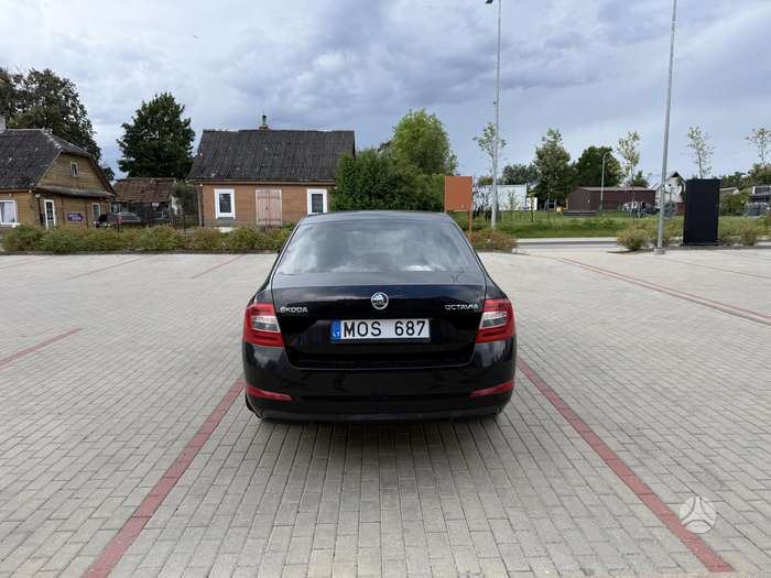 Nuotrauka 4 iš 4