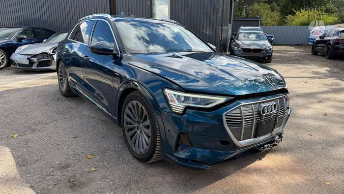 Audi e-tron, 95 kWh, off-road / crossover