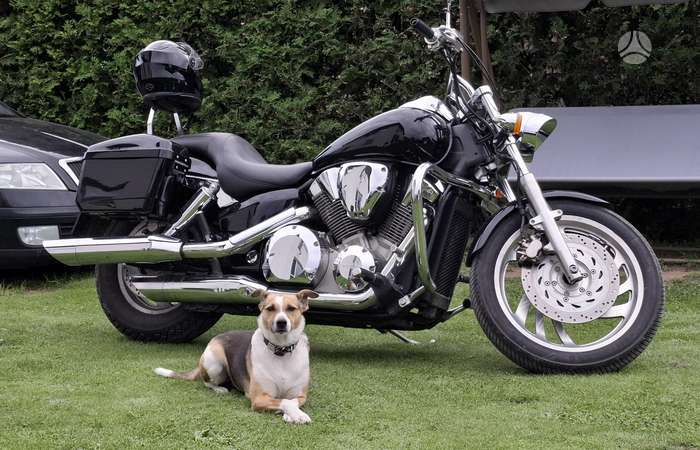 Honda VTX 1312cc, чопперы / круизеры / custom