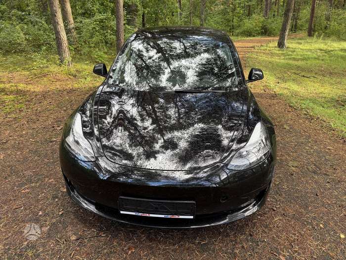 Tesla Model 3, Седан