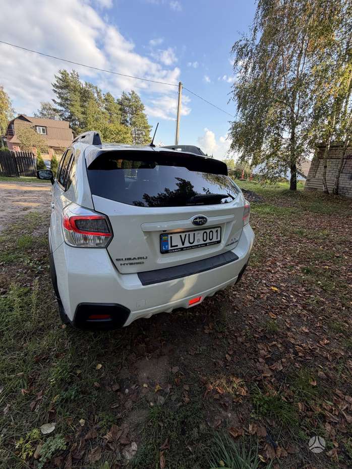 Nuotrauka 4 iš 4