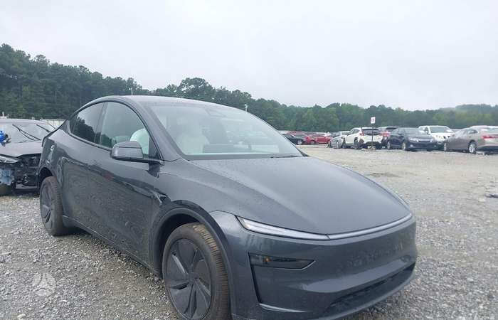 Tesla Model Y, visureigis / krosoveris