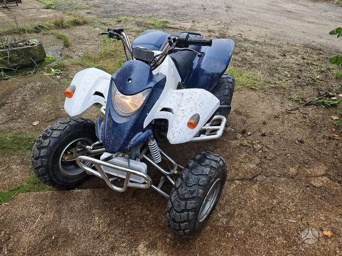 SMC Wildcat 250cc, atv / quad