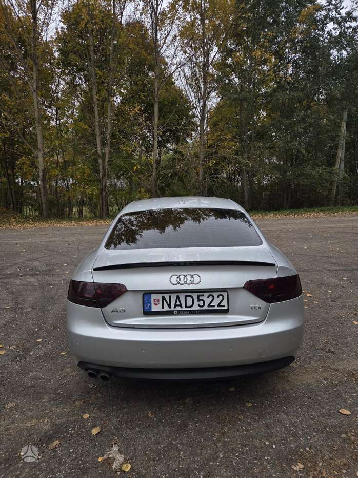 Nuotrauka 3 iš 4