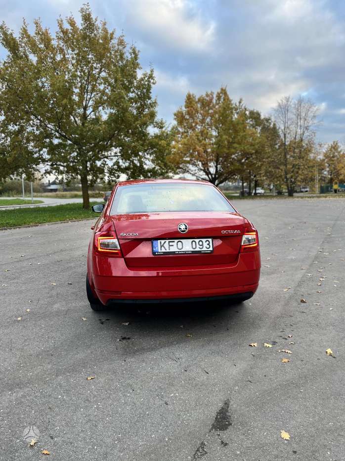 Nuotrauka 4 iš 4