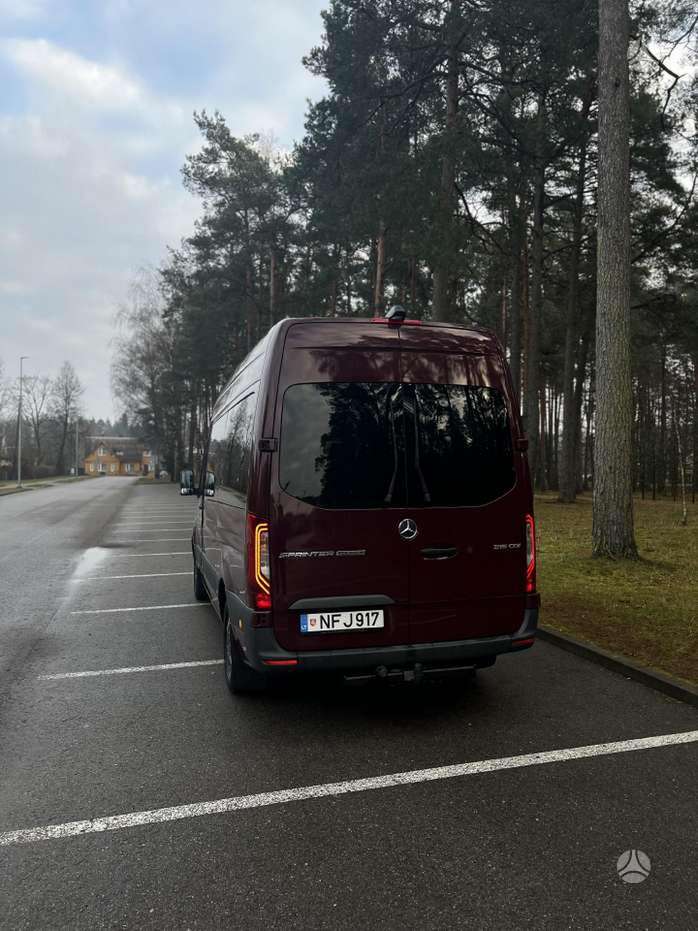 Nuotrauka 4 iš 4