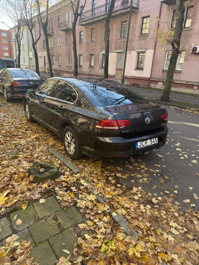 Nuotrauka 4 iš 4