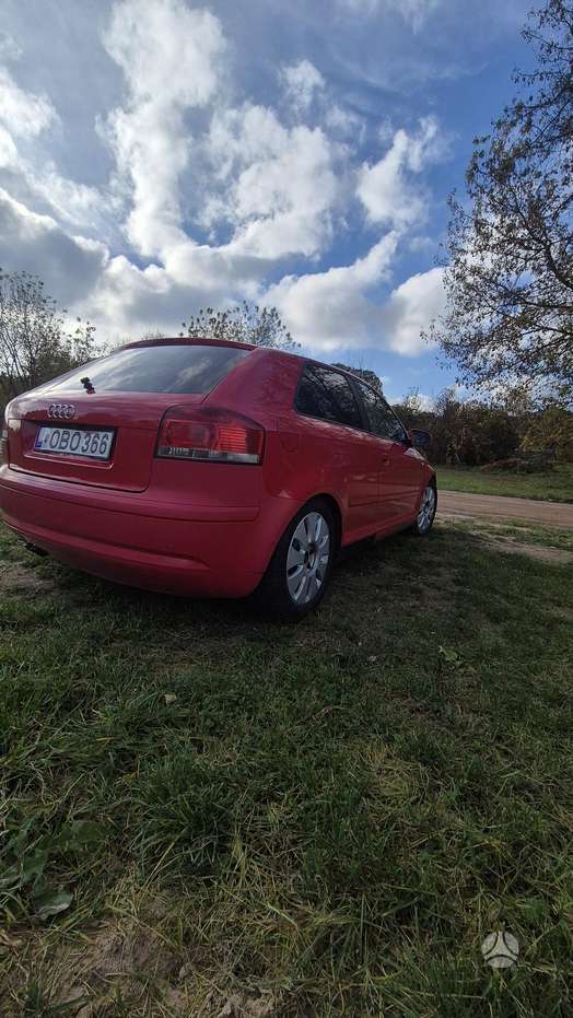 Nuotrauka 3 iš 4