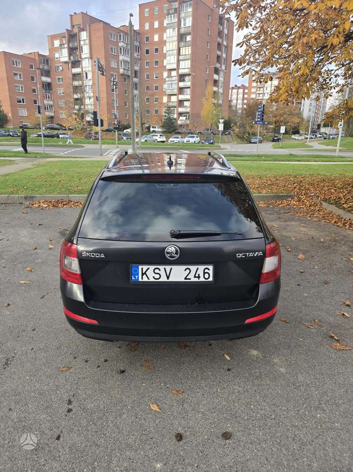 Nuotrauka 4 iš 4