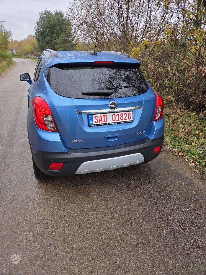 Nuotrauka 4 iš 4